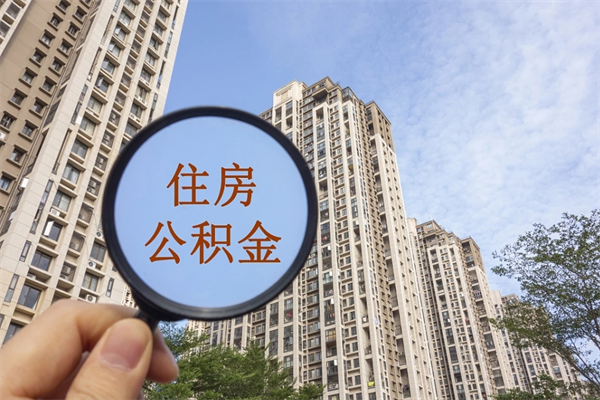 石河子辞职多久公积金可以全部取出来吗（辞职之后公积金多长时间可以取）